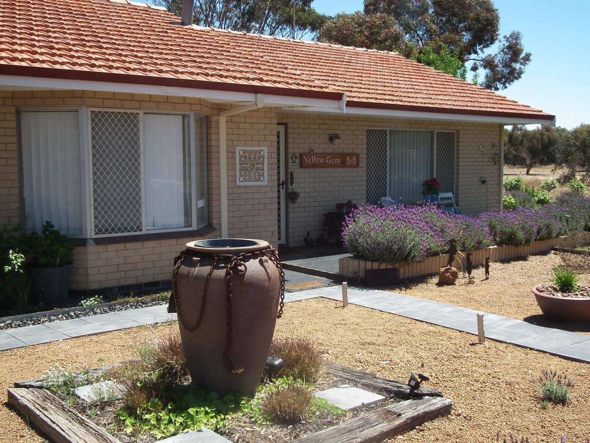 Yellow Gum Bed And Breakfast Katanning Exteriér fotografie