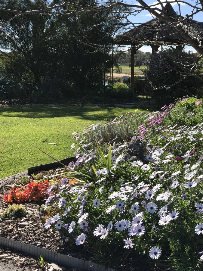 Yellow Gum Bed And Breakfast Katanning Exteriér fotografie